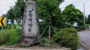 <김영철의 동네 한 바퀴> 꽃답다 동백마을 – 제주 남원읍